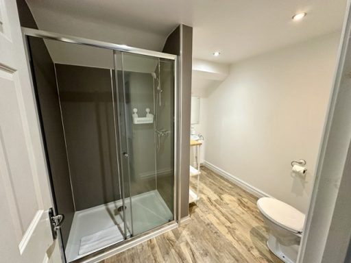 Modern bathroom featuring a glass shower, toilet, and wooden flooring.